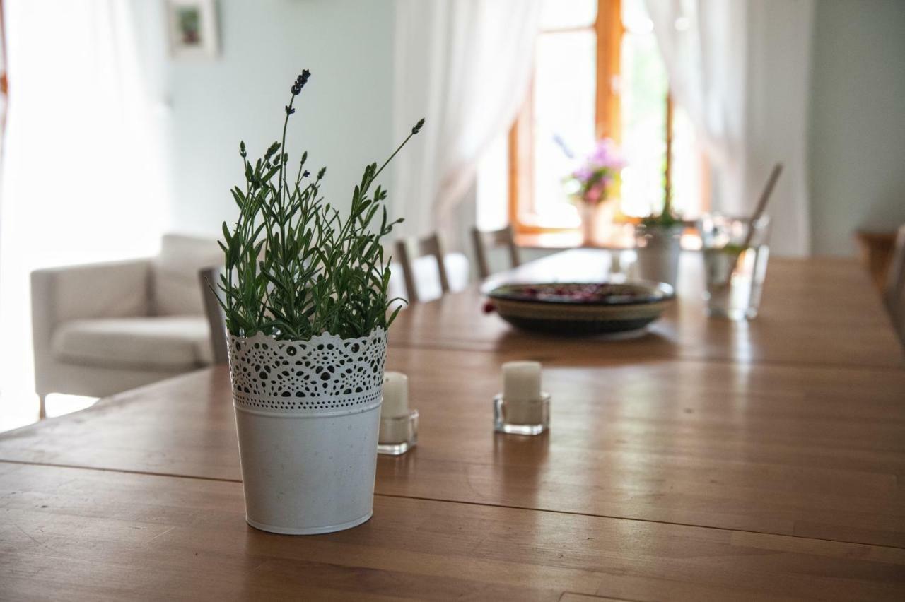 Villa Potoczek 19 Międzylesie Esterno foto