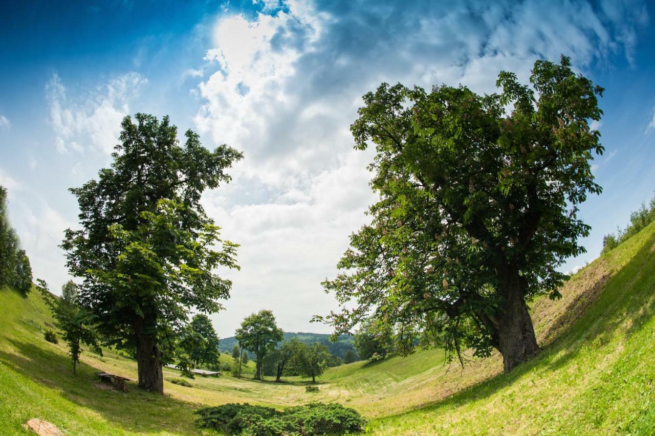 Villa Potoczek 19 Międzylesie Esterno foto