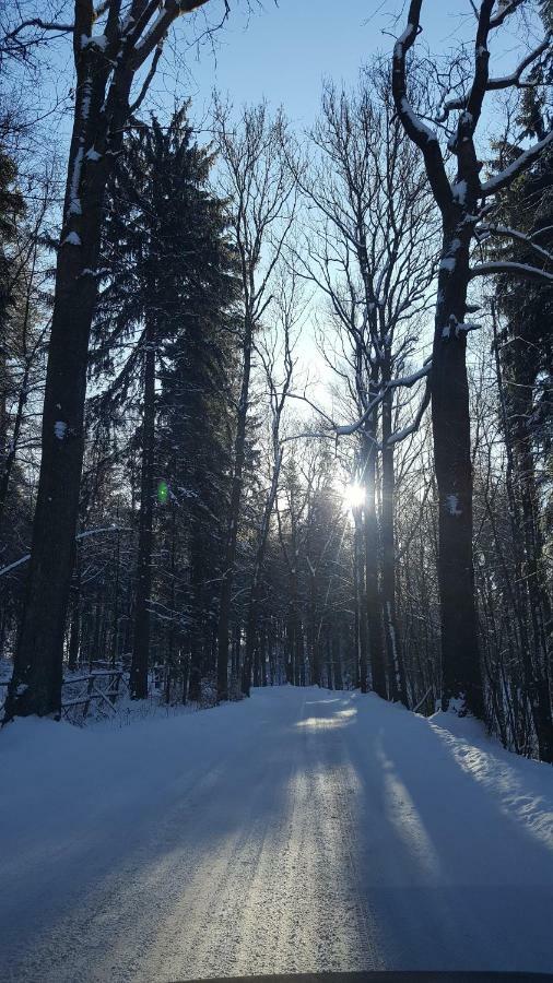 Villa Potoczek 19 Międzylesie Esterno foto