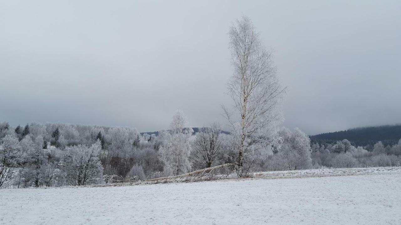 Villa Potoczek 19 Międzylesie Esterno foto