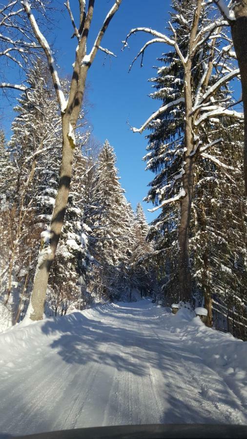 Villa Potoczek 19 Międzylesie Esterno foto